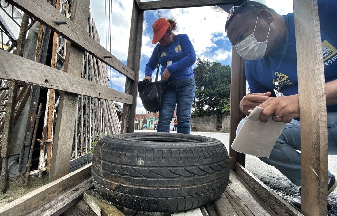 Ação de combate aos focos de mosquito Aedes aegypti