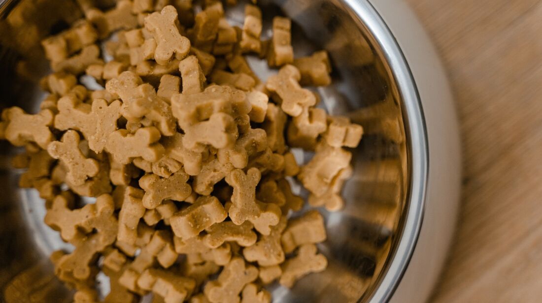 Muitas vezes, o animal em situação de rua só tem acesso àquela alimentação disponibilizada por protetores independentes