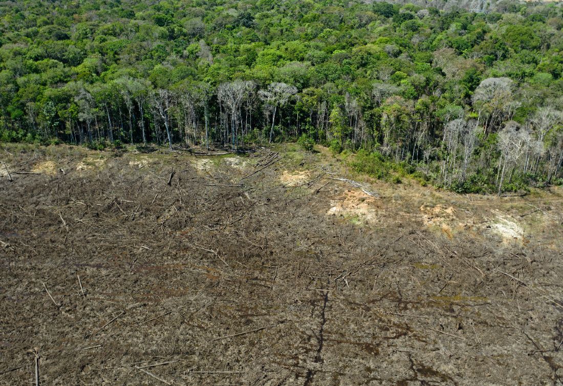 Desmatamento na Amazônia