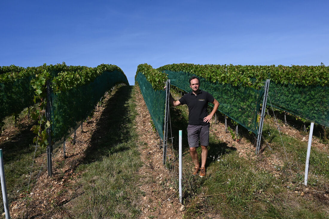 Região de Beaujolais na França