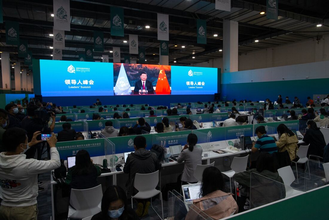 Presidente da China, XI Jinping, durante a Cop15