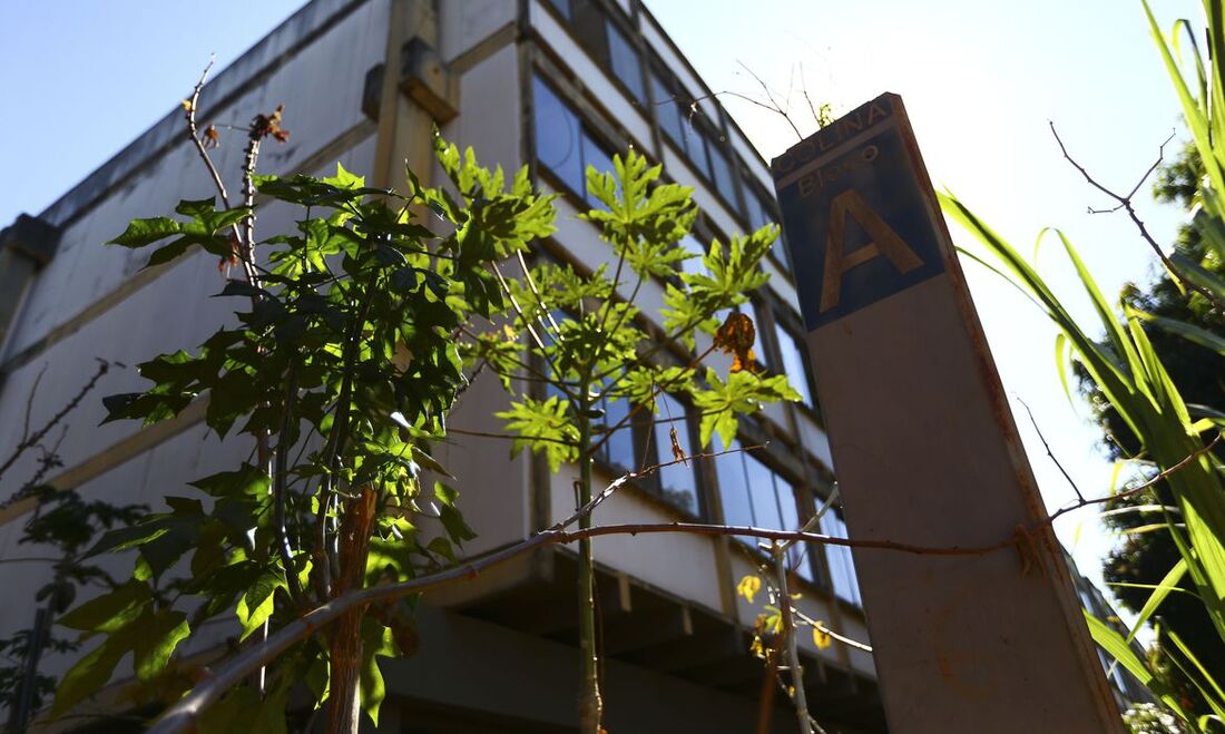 Universidade de Brasília