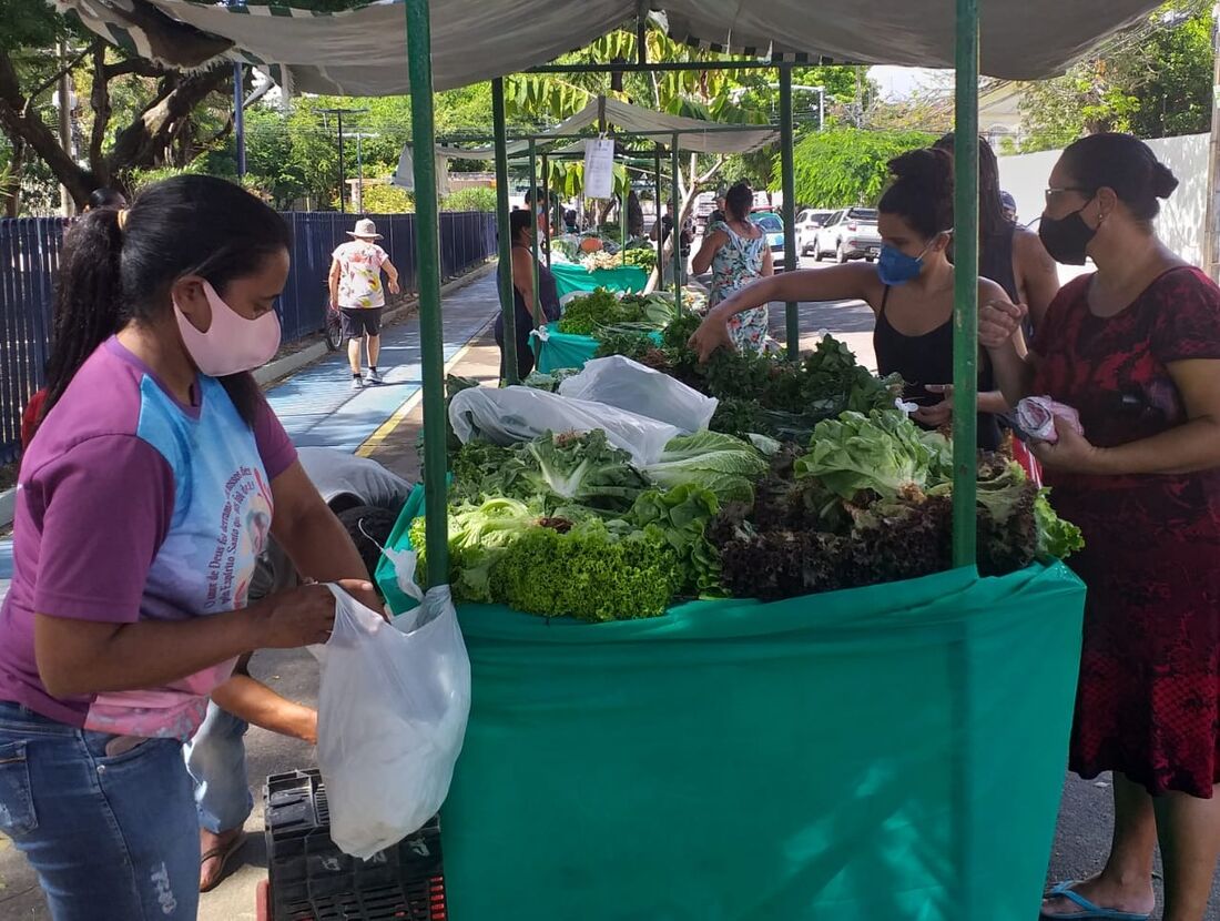 Feira de produtos orgânicos na Praça do Hipódromo