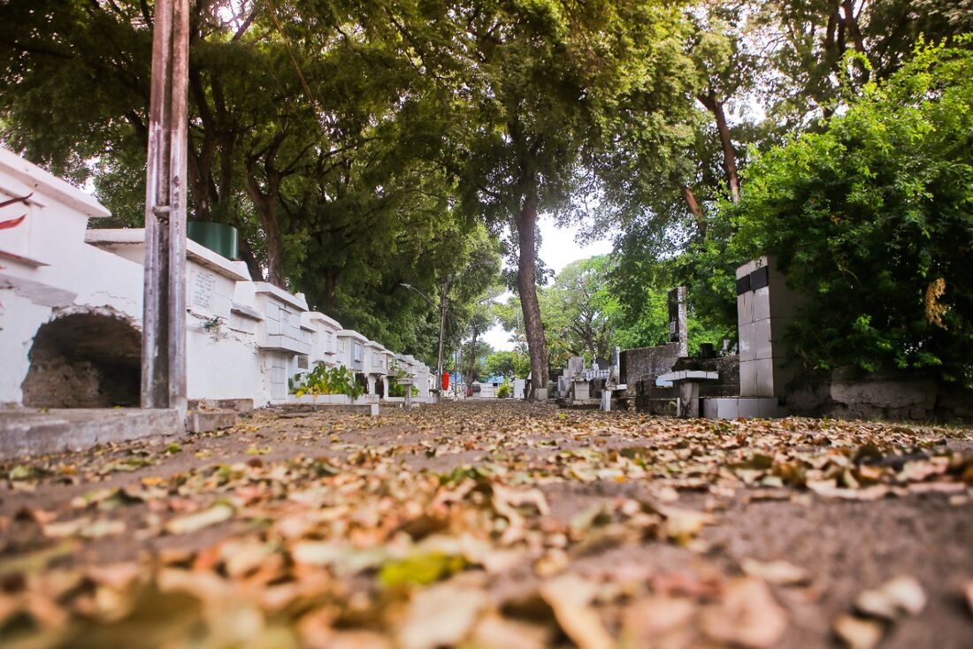 Movimentação tranquila no cemitério de Santo Amaro