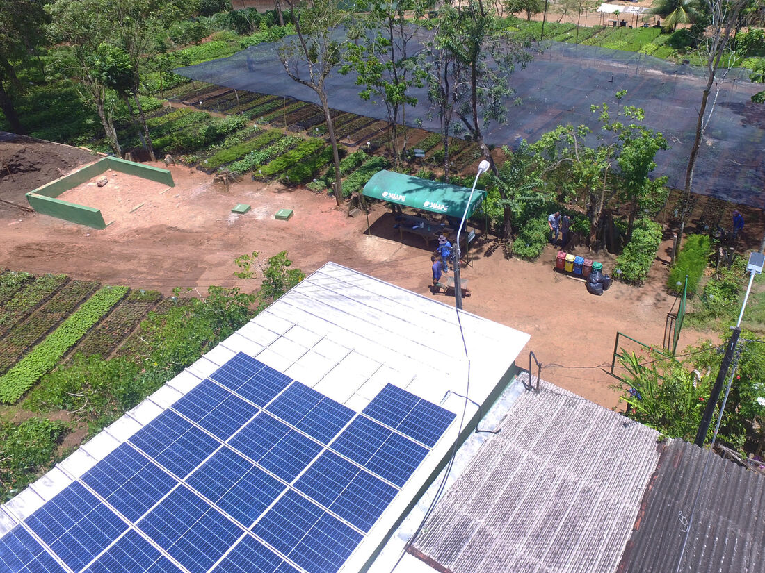 O viveiro de mudas, onde foram instaladas placas fotovoltaicas, é abastecido por energia solar