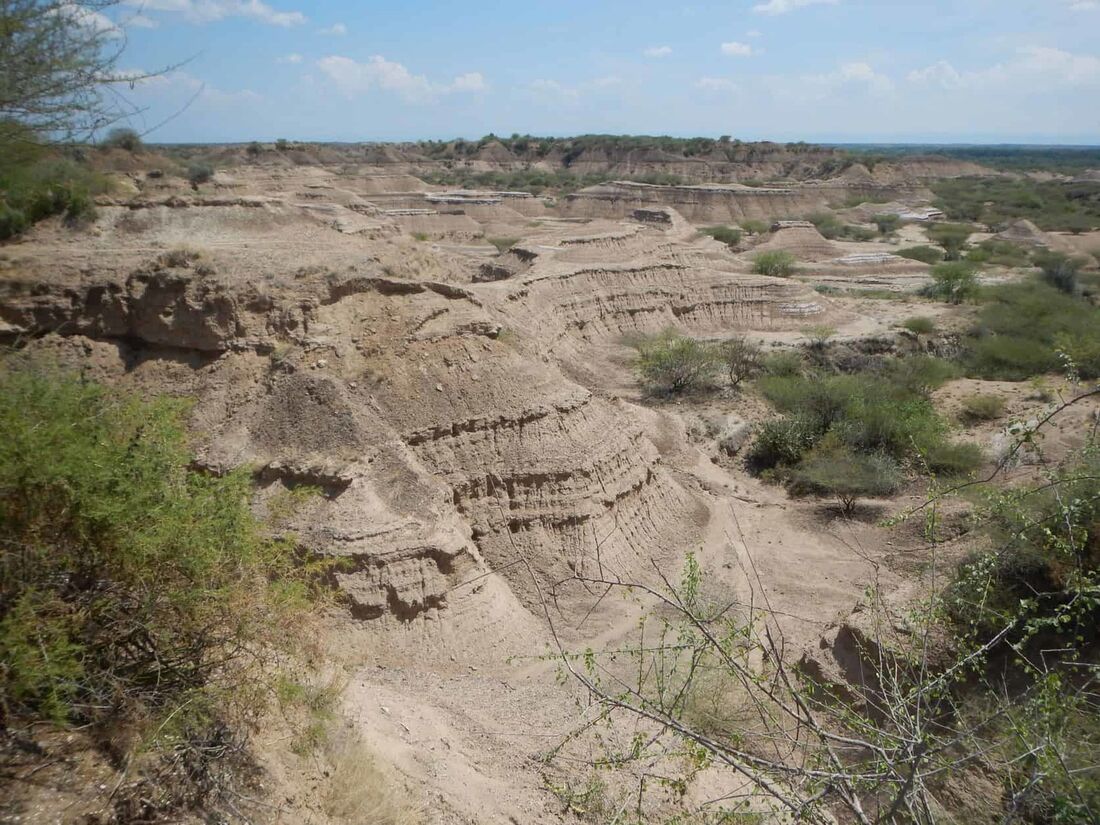 Esta fotografia divulgada pela Universidade de Cambridge em 12 de janeiro de 2022 mostra uma visão geral da 'Formação Omo-Kibish' no Parque Nacional Omo, sudoeste da Etiópia, em 14 de novembro de 2018