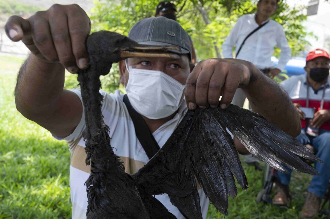 Um pescador artesanal de uma comunidade afetada por um derramamento de óleo nas praias da província peruana de Callao, causado durante o processo de descarga do navio-tanque de bandeira italiana "Mare Doricum", segura uma ave morta com óleo em um protesto