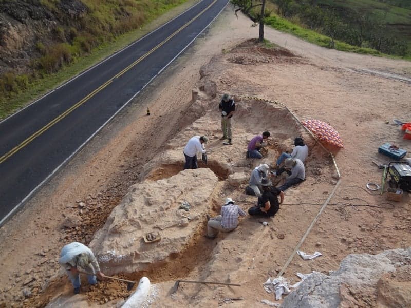 Escavação realizada pelo Museu de Paleontologia de Marília (SP)