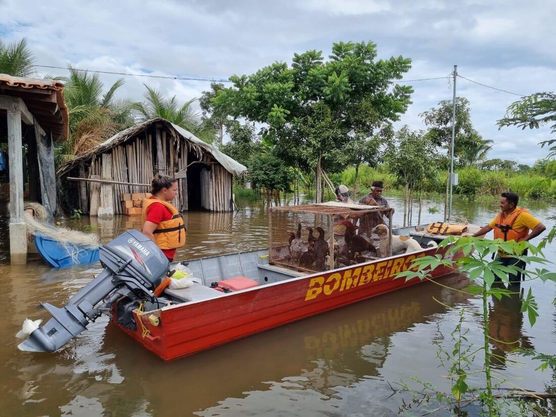 Bombeiros socorrem vítimas das enchentes no Tocantins