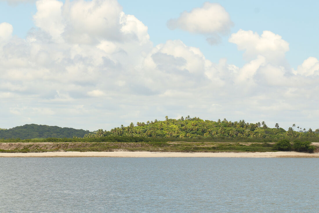 Ilha de Cocaia, em Suape