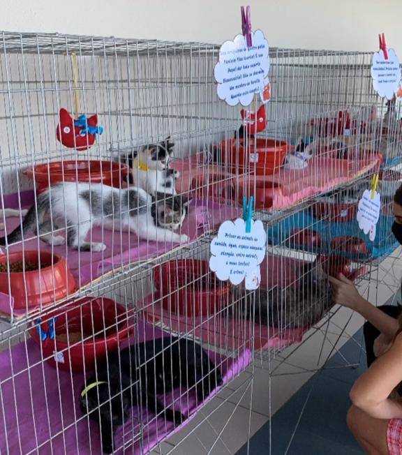 Shopping Costa Dourada fará a primeira edição, em 2022, da sua tradicional feira de adoção de animais