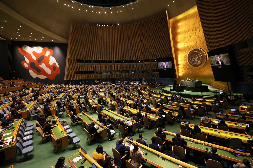 Assembleia Geral da ONU