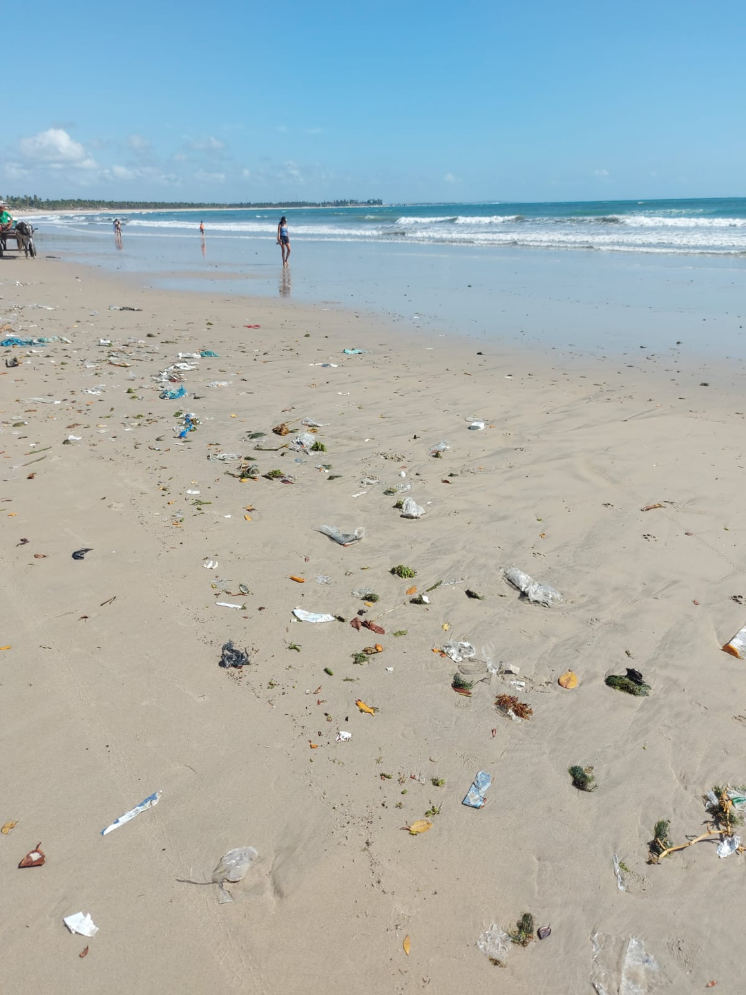 Lixo na praia de Maracaípe, em Ipojuca, no Litoral Sul