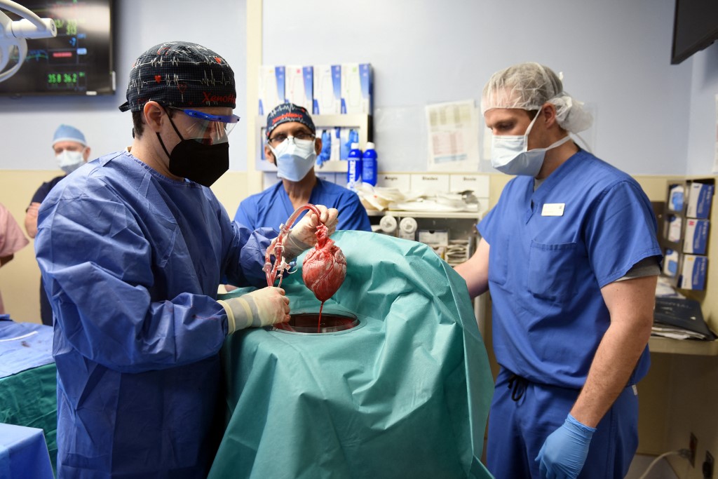 Cirurgiões realizando um transplante de coração de um porco geneticamente modificado para o paciente David Bennett, Sr., em Baltimore, Maryland, em 7 de janeiro de 2022