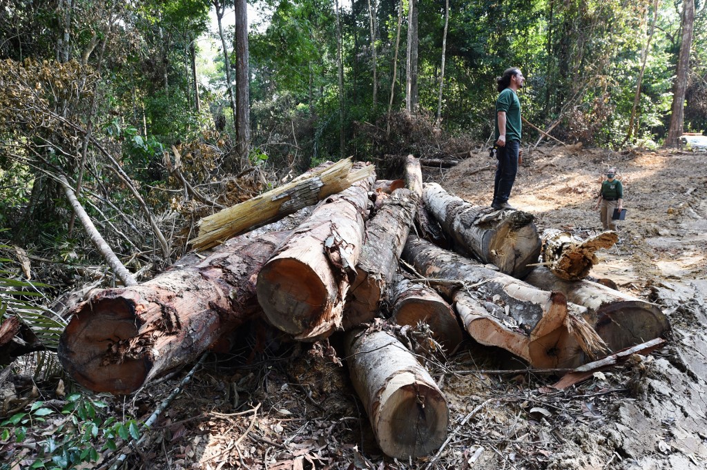 Área desmatada na floresta amazônica durante fiscalização no município de Pacajá, a 620 km da capital Belém