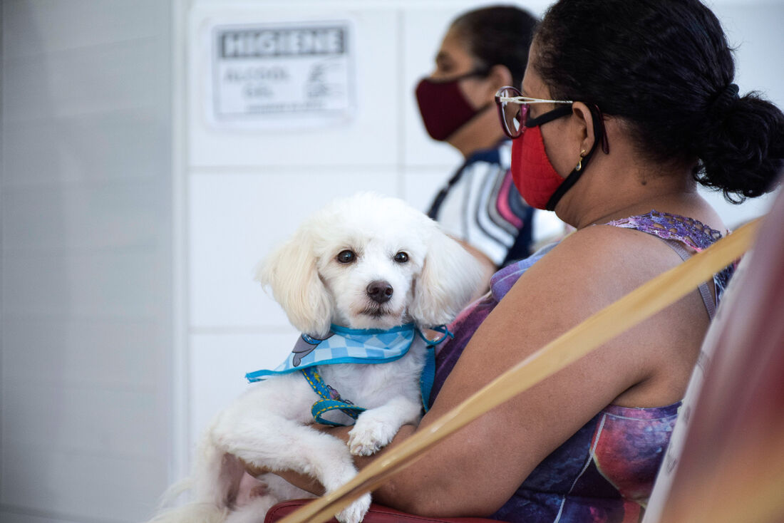 Hospital Veterinário do Recife