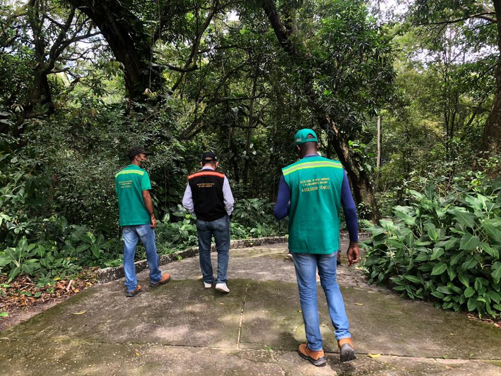 Olinda retoma trilhas na Mata do Passarinho