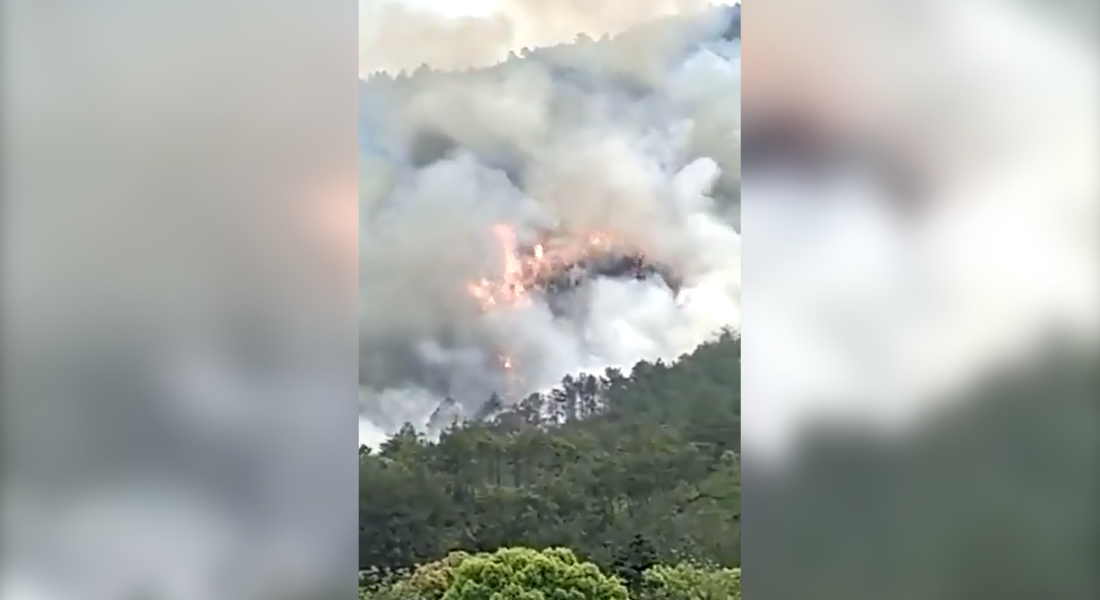 Queda do avião provocou incêndio em montanha