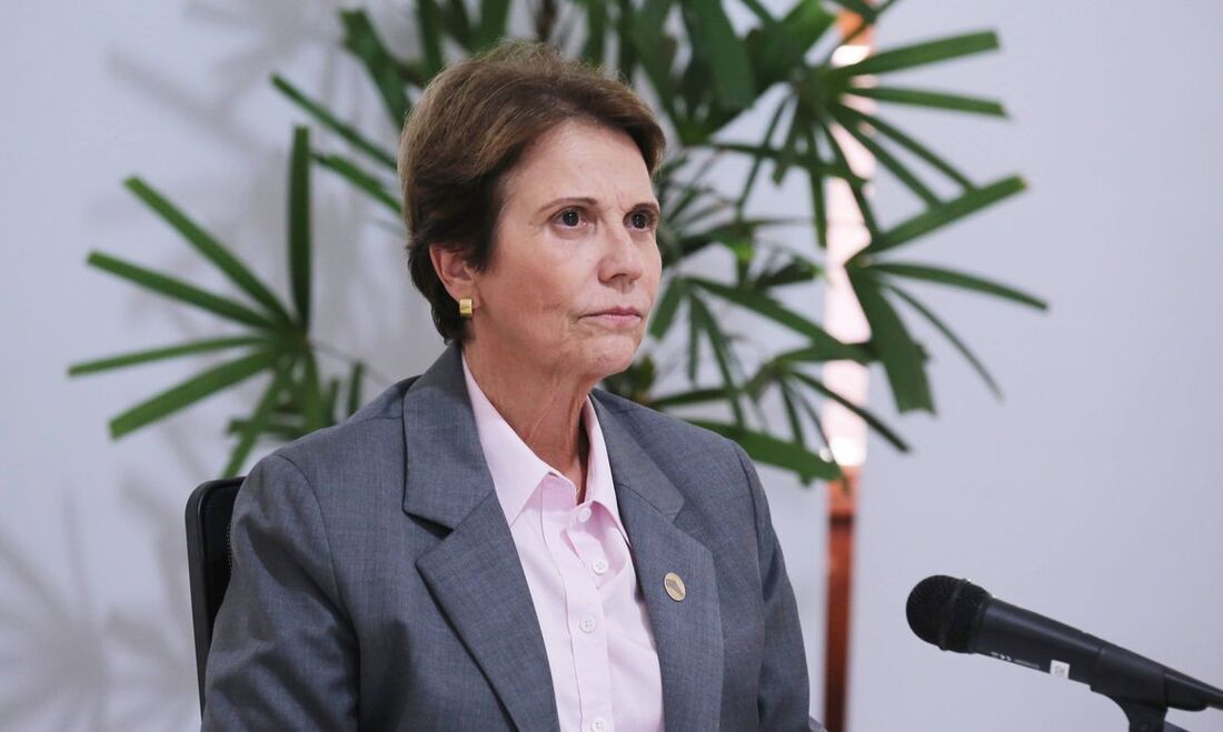 Ministra da Agricultura, Pecuária e Abastecimento, Tereza Cristina