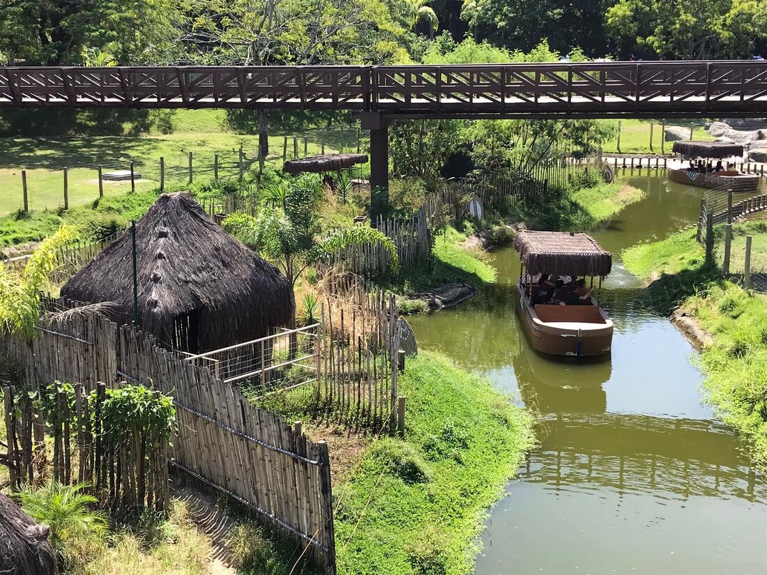 Sobe para 16 número de galinhas-d'angola mortas no BioParque do Rio