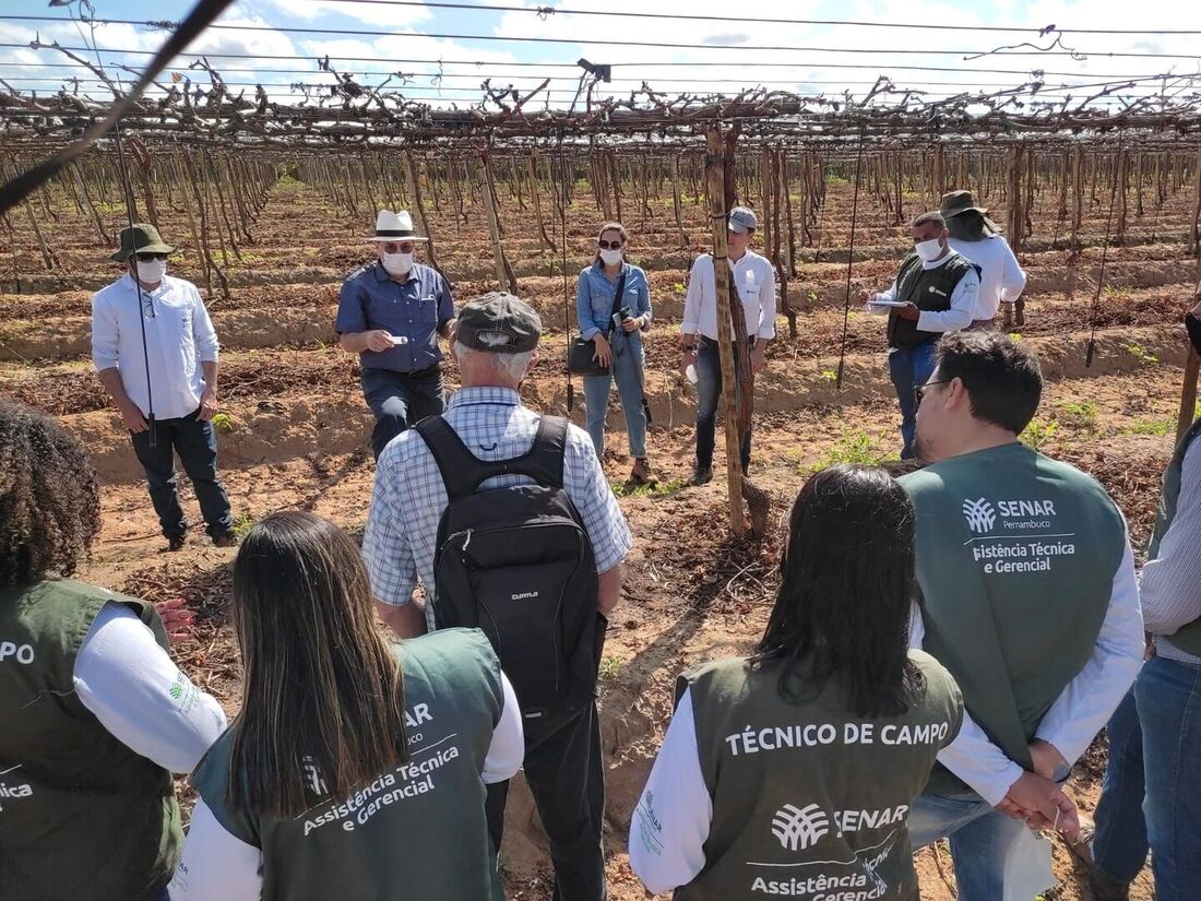 A fertirrigação foi tema de uma capacitação para técnicos do Senar Pernambuco no Vale do São Francisco