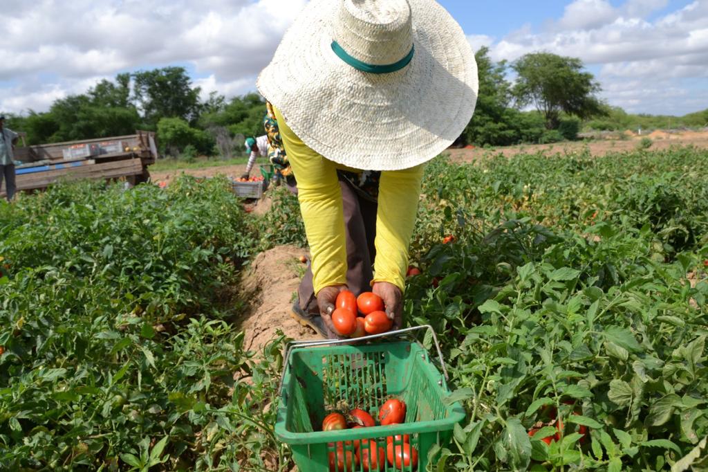 PAA: agricultores contam como melhoraram a renda e combateram a fome