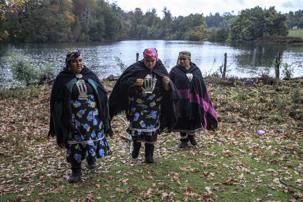  Área mapuche, perto da comuna de Lumaco, no sul do Chile