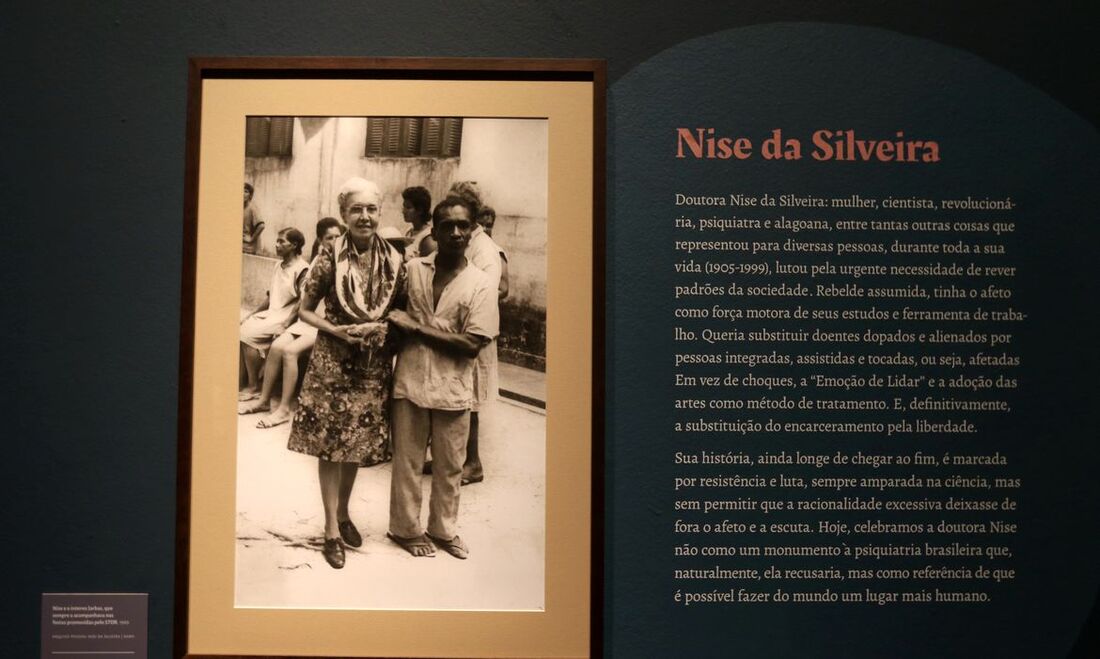 De acordo com a justificativa para o veto, "não é possível avaliar, nos moldes da referida Lei, a envergadura dos feitos da médica Nise Magalhães da Silveira 