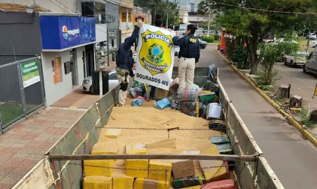 Apreensão de maconha