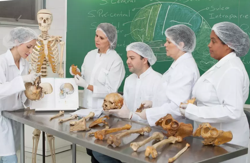 Os interessado devem preencher, em vida, o termo de doação