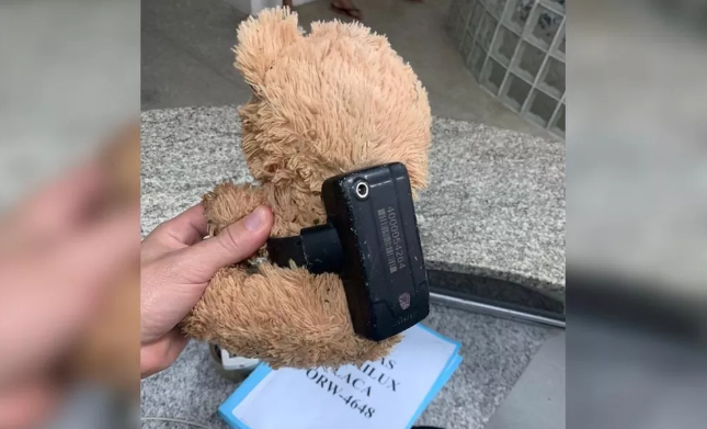 Urso de pelúcia foi encontrado com tornozeleira eletrônica, no Ceará 