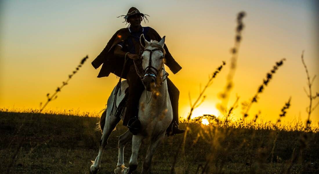 Fotografia de Paulo Romão