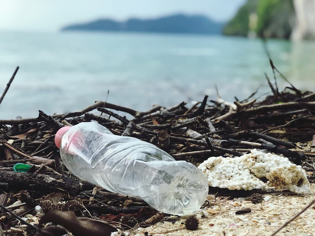 Proteção da biodiversidade em alto-mar