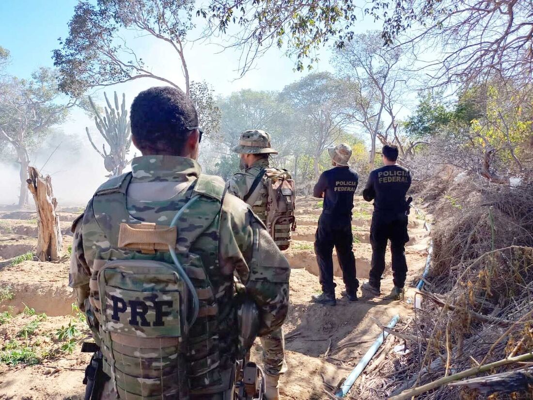 Agentes da PF e PRF