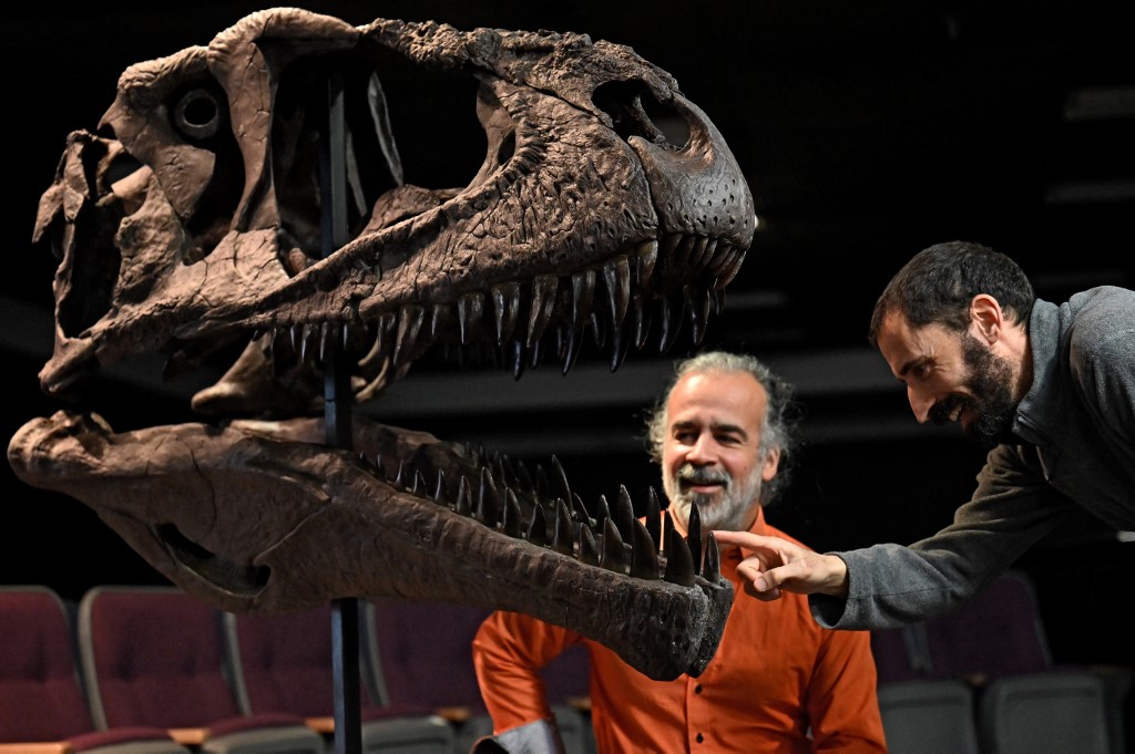 Paleontólogos argentinos Sebastian Apesteguia (E) e Pablo Gallina mostram uma réplica do fóssil de um Meraxes gigas, um dinossauro carnívoro gigante recém-descoberto, na Universidade Maimonides, em Buenos Aires, em 7 de julho de 2022