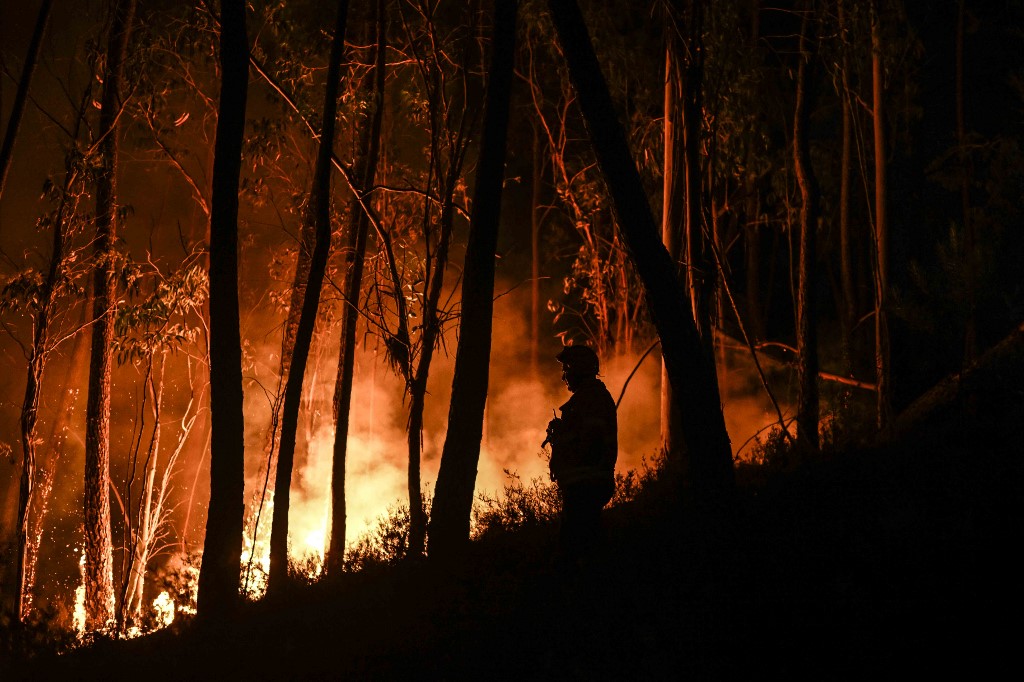 Incêndio em Portugal 