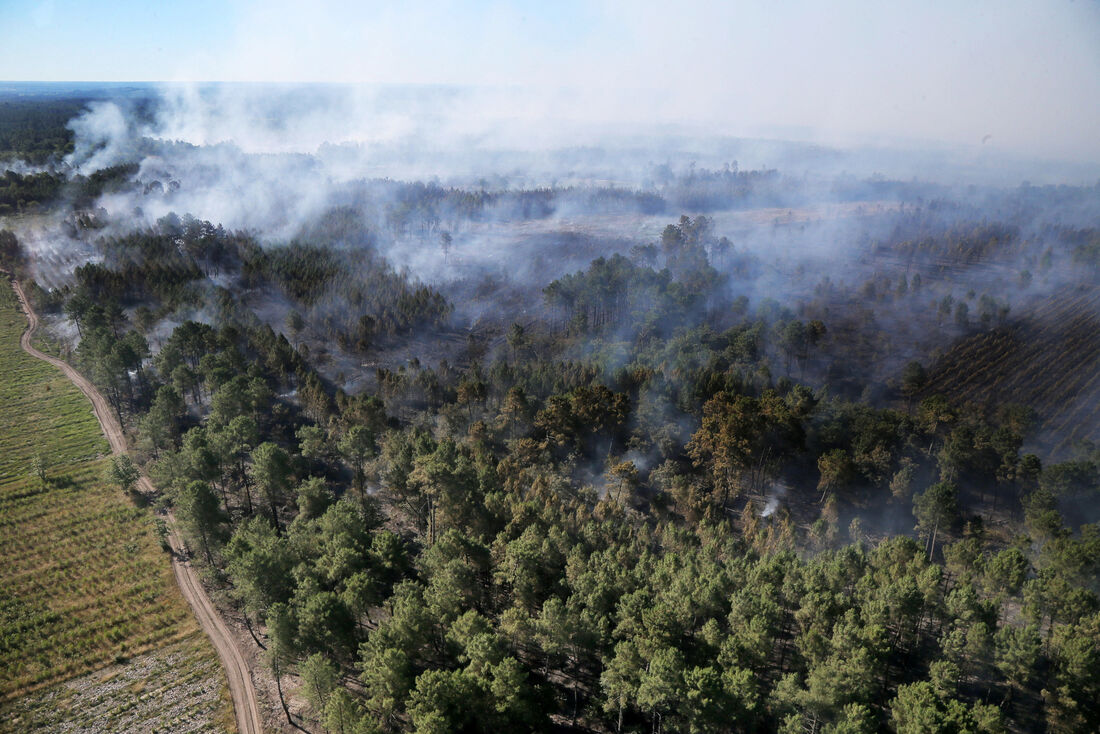 Incêndio florestal na França em decorrência das altas temperaturas registradas no leste da Europa