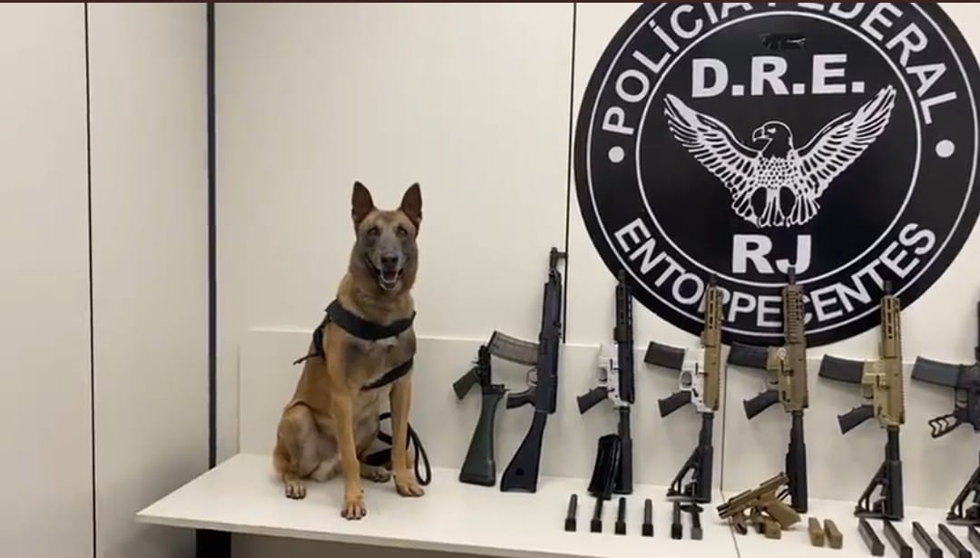 Cão farejador Apollo e apreensão da Polícia Federal 