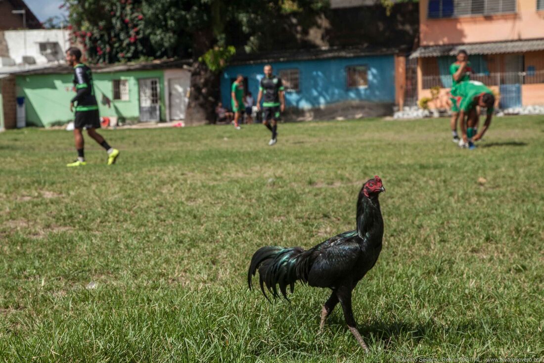 "Sapato 36" tem estreia nacional na próxima quinta-feira (4)