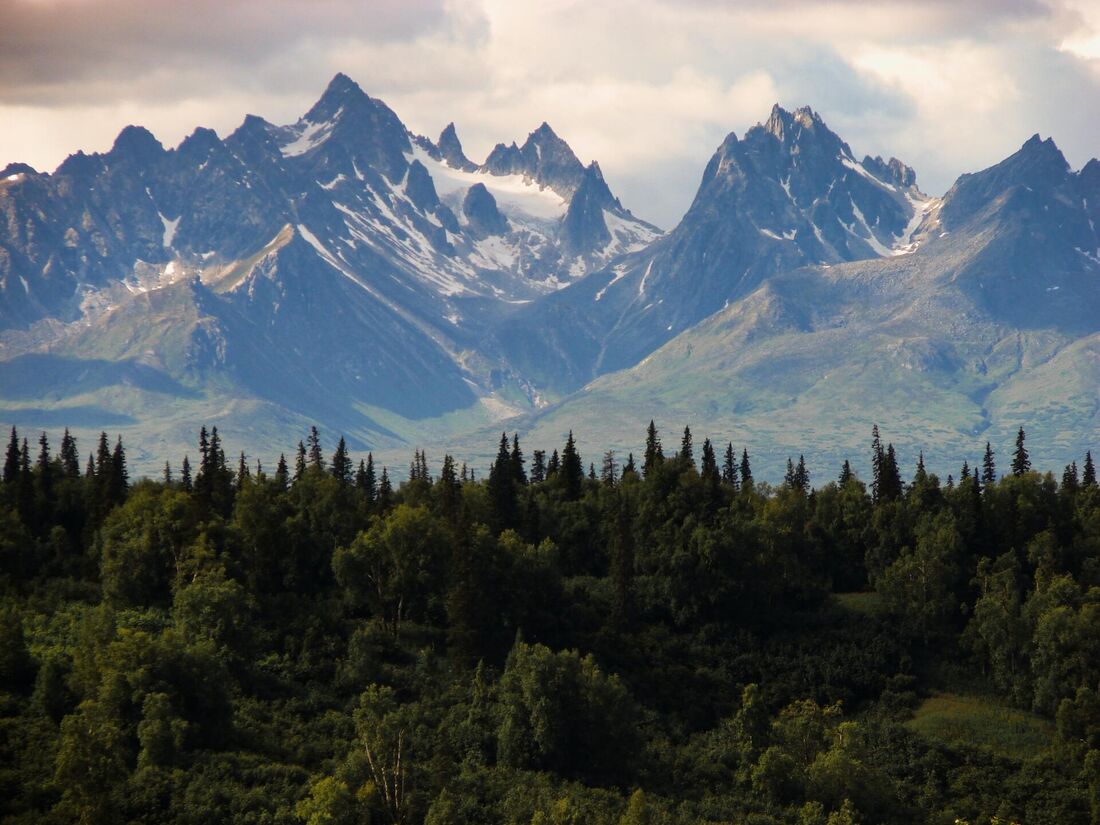 Floresta Boreal no Alasca