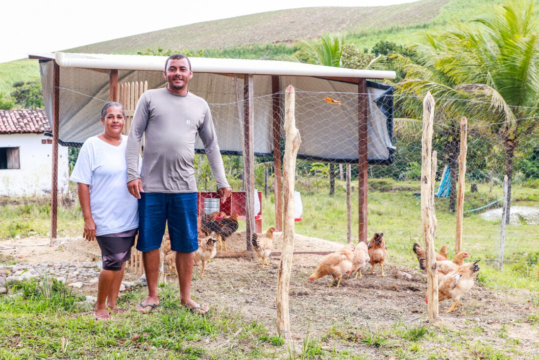 Iniciativa socioambiental busca garantir segurança alimentar e renda