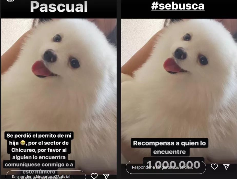 Pascual é da filha do jogador