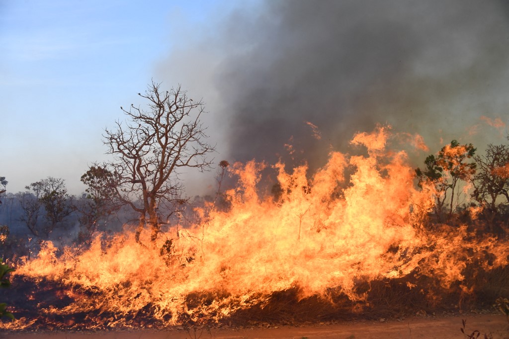 Chamas sobem de uma floresta durante um incêndio no Parque Nacional de Brasília em 5 de setembro de 2022