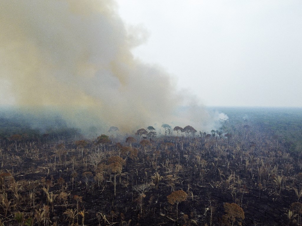 Desmatamento na Amazônia