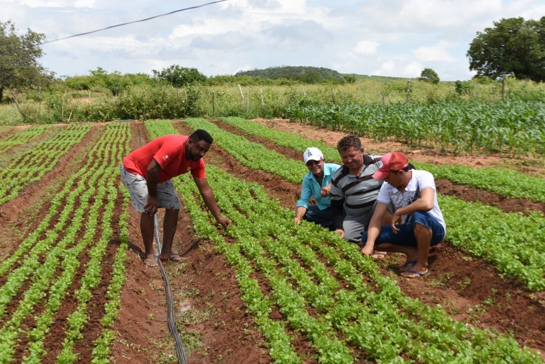 Pequenos agricultores