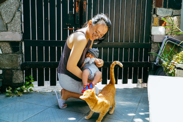 Família com bebê e gato