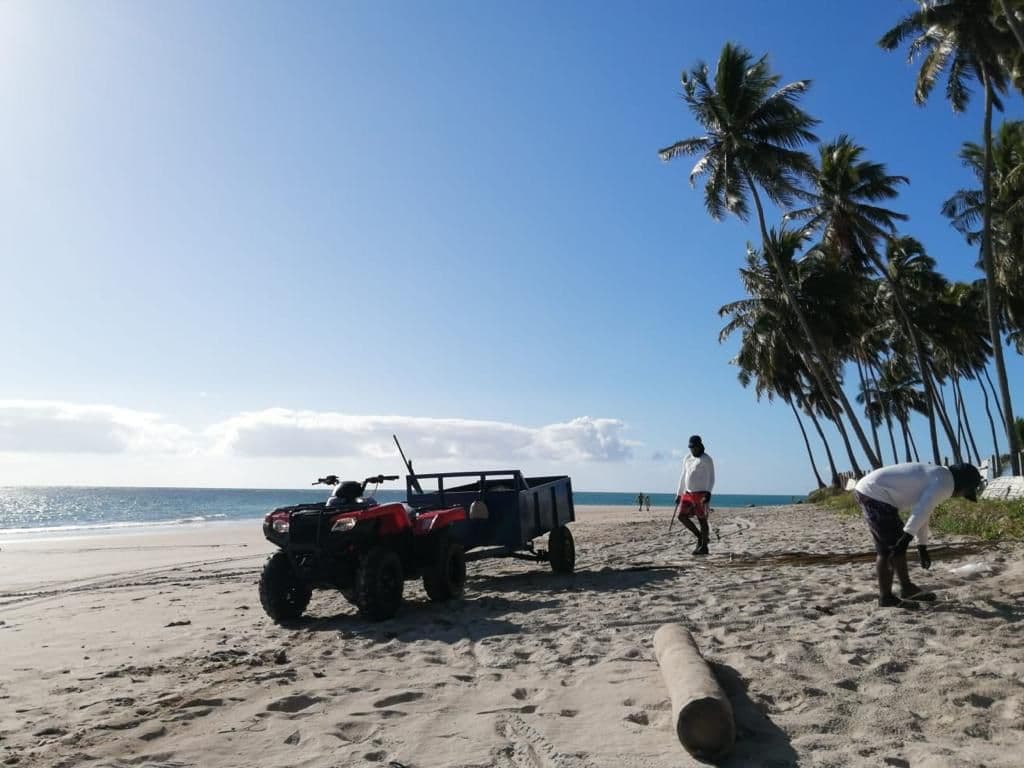 Limpeza na praia de Carneiros