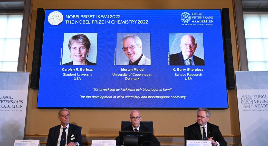 Membros do Comitê Nobel para anunciar os vencedores do Prêmio Nobel de Química de 2022 