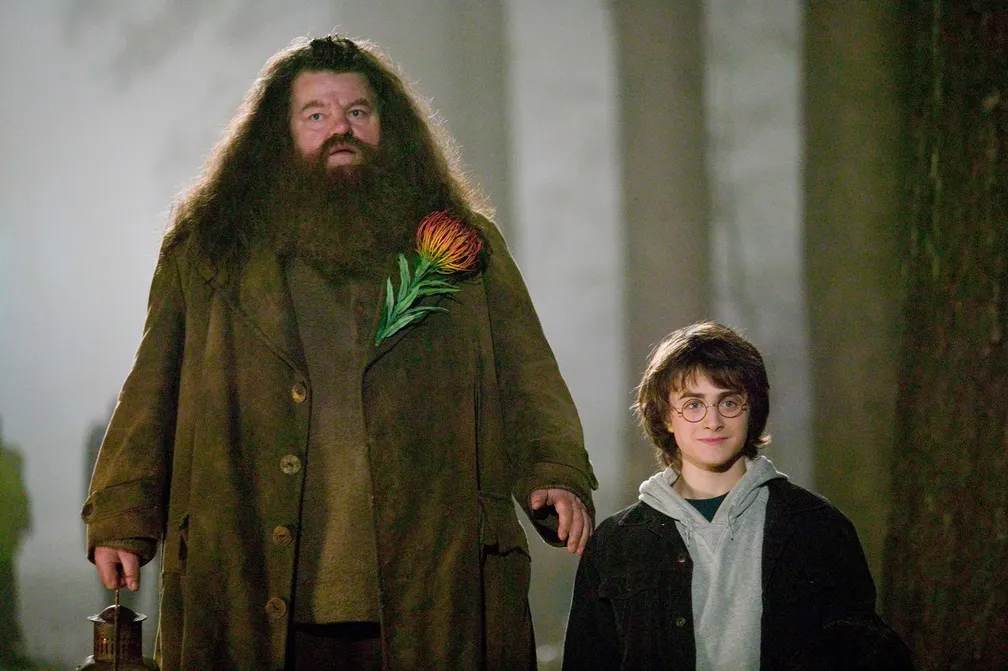 Hagrid (Robbie Coltrane) e Harry Potter (Daniel Radcliffe)