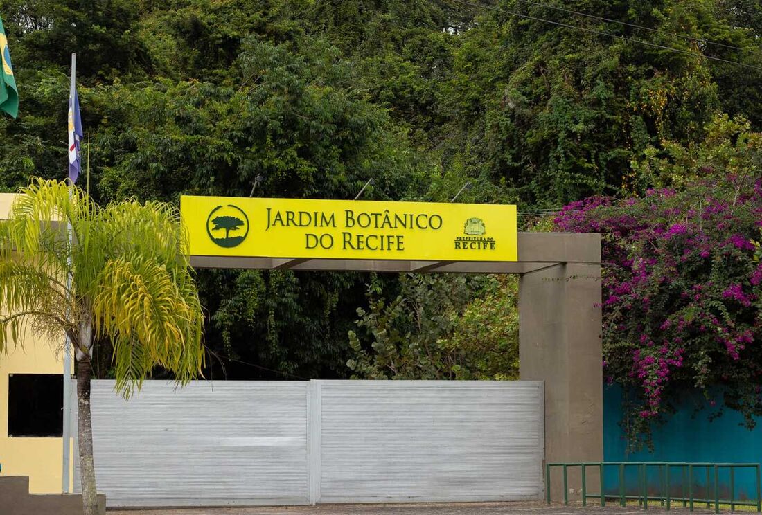 Jardim Botânico do Recife conta com programação especial para o Dia das Crianças com o objetivo de conscientizar a criançada sobre o meio ambiente